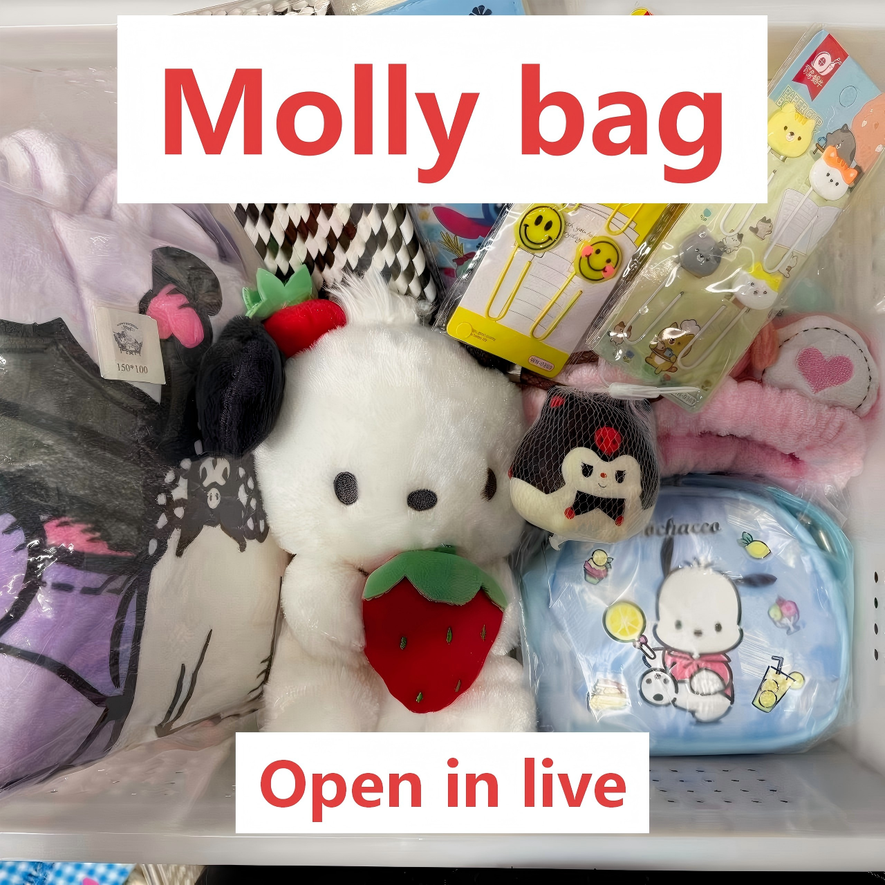 【NO.57】Molly bag(Pair up)